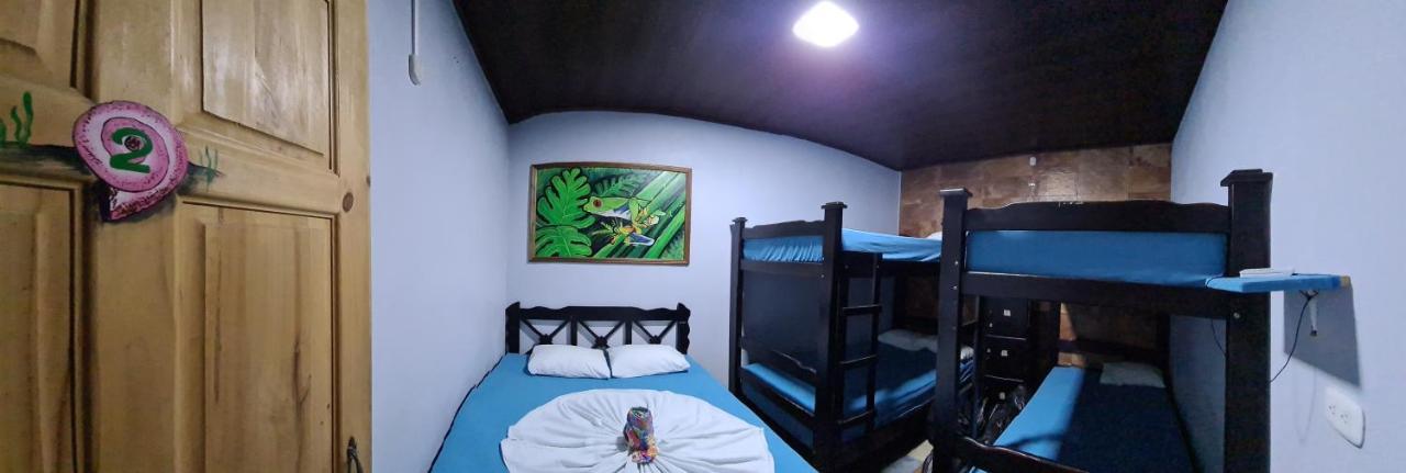 Hostel Tortuguero 7Backpackers Εξωτερικό φωτογραφία