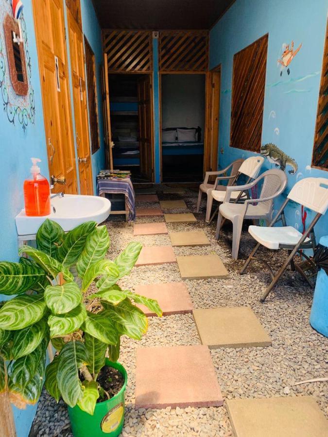 Hostel Tortuguero 7Backpackers Εξωτερικό φωτογραφία